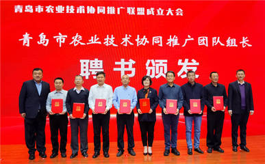 青島市農(nóng)業(yè)技術(shù)協(xié)同推廣聯(lián)盟成立 搭建技術(shù)推廣新平臺(tái)，助力現(xiàn)代農(nóng)業(yè)發(fā)展
